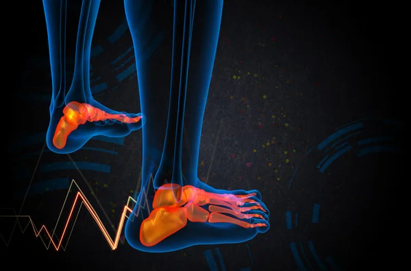 3d rendere illustrazione medica dell'osso del piede — Foto Stock