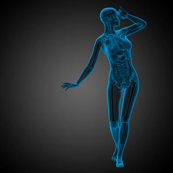 3D render medische illustratie van de menselijke anatomie — Stockfoto