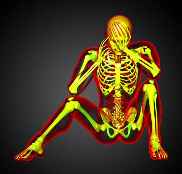 3D göra medicinsk illustration av det mänskliga skelettet — Stockfoto