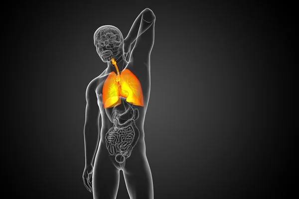 Respiratort 系统三维渲染的图 — 图库照片