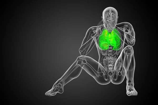 Respiratort 系统三维渲染的图 — 图库照片