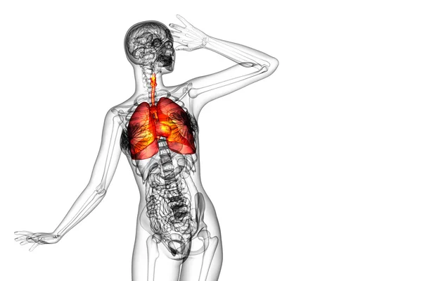 Respiratort 系统三维渲染的图 — 图库照片