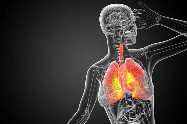 3D-gerenderde afbeelding van het respiratort-systeem — Stockfoto