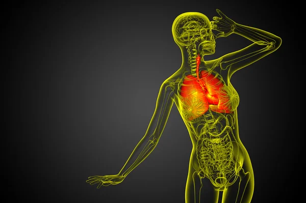 3D-s renderelt illusztrációja a respiratort rendszer — Stock Fotó