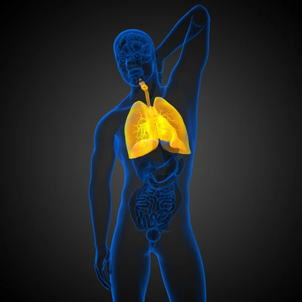 3D-gerenderde afbeelding van het respiratort-systeem — Stockfoto