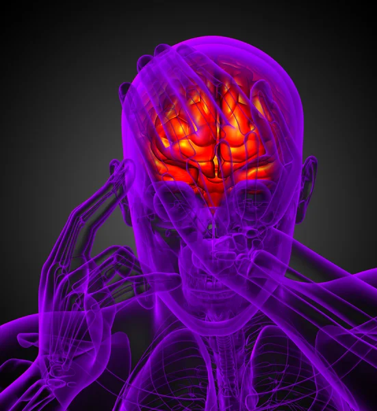 3D καθιστούν ιατρική απεικόνιση του εγκεφάλου — Φωτογραφία Αρχείου