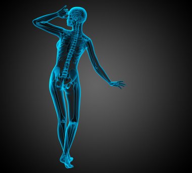 3D render Medikal illüstrasyon insan anatomi