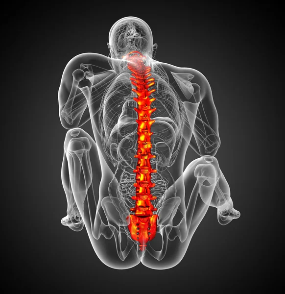 3d hacer ilustración médica de la columna vertebral humana — Foto de Stock