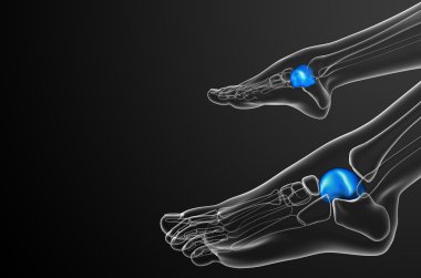 talus kemiği 3D render çizimi