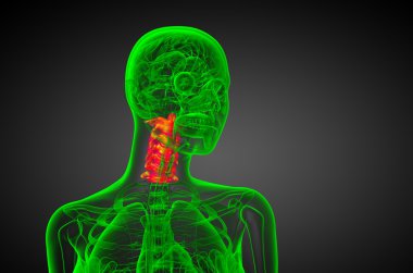 Servikal omurganın 3D render Medikal illüstrasyon