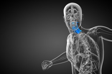 Servikal omurganın 3D render Medikal illüstrasyon