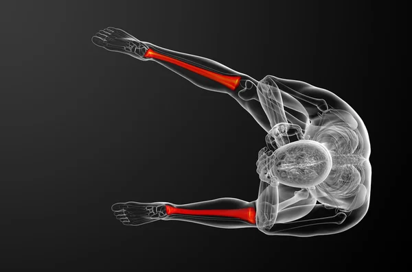 3d face ilustrație medicală a osului tibiei — Fotografie, imagine de stoc