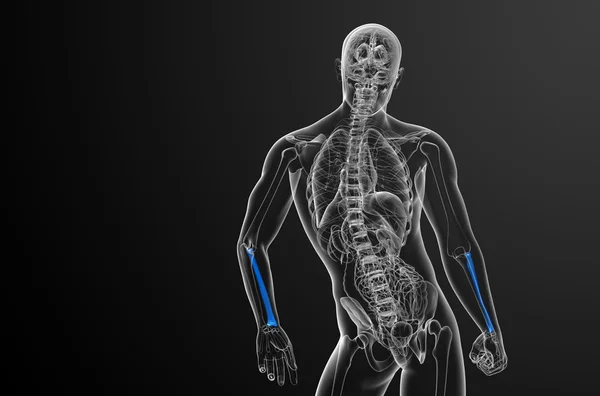 3D καθιστούν ιατρική απεικόνιση της η ακτίνα των οστών — Φωτογραφία Αρχείου