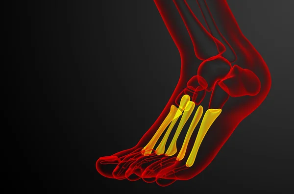 3d render ilustrasi medis dari tulang metatarsal — Stok Foto