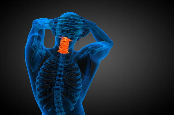 3d rendre illustration médicale de la colonne cervicale — Photo