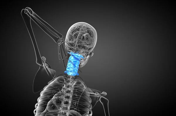 3d renderizar ilustração médica da coluna cervical — Fotografia de Stock