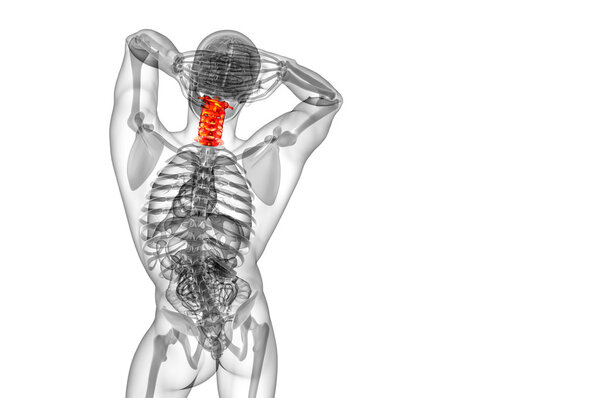 3d render medical illustration of the cervical spine