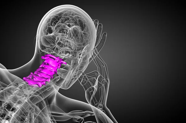 3d renderizar ilustração médica da coluna cervical — Fotografia de Stock