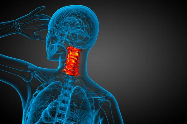 3d rendir ilustración médica de la columna cervical — Foto de Stock