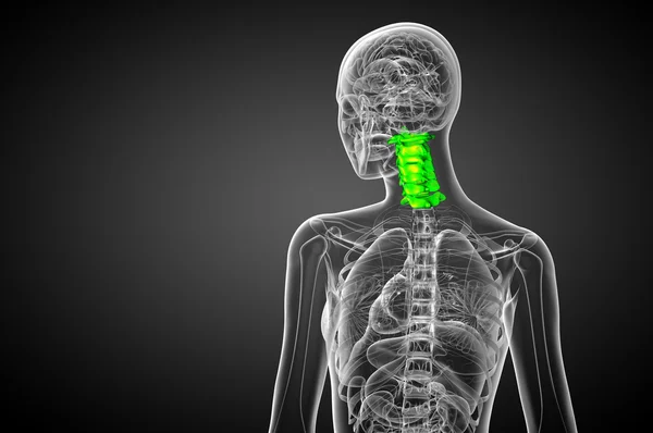 3d renderizar ilustração médica da coluna cervical — Fotografia de Stock