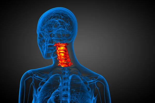 3d renderizar ilustração médica da coluna cervical — Fotografia de Stock