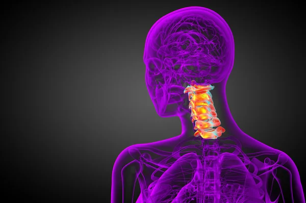 3d renderizar ilustração médica da coluna cervical — Fotografia de Stock