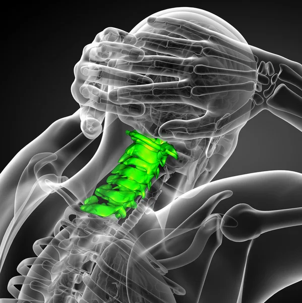 3d renderizar ilustração médica da coluna cervical — Fotografia de Stock