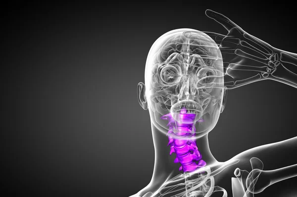3d rendere illustrazione medica della colonna vertebrale cervicale — Foto Stock