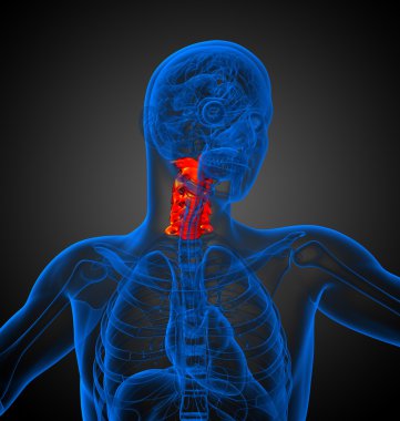 Servikal omurganın 3D render Medikal illüstrasyon