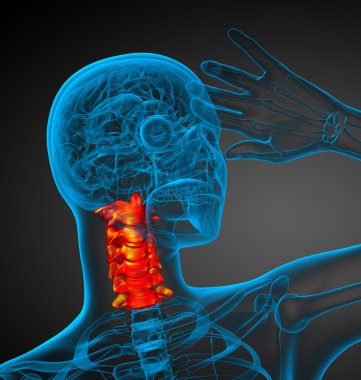 Servikal omurganın 3D render Medikal illüstrasyon