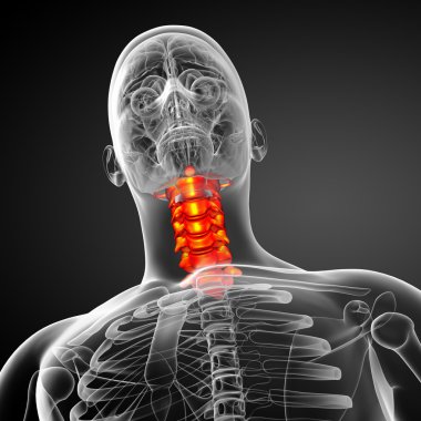 Servikal omurganın 3D render Medikal illüstrasyon