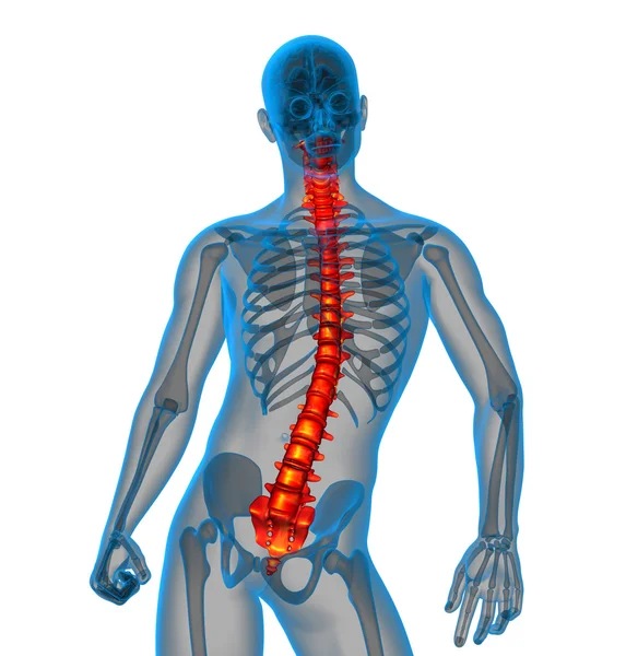 3d rendre illustration médicale de la colonne cervicale — Photo