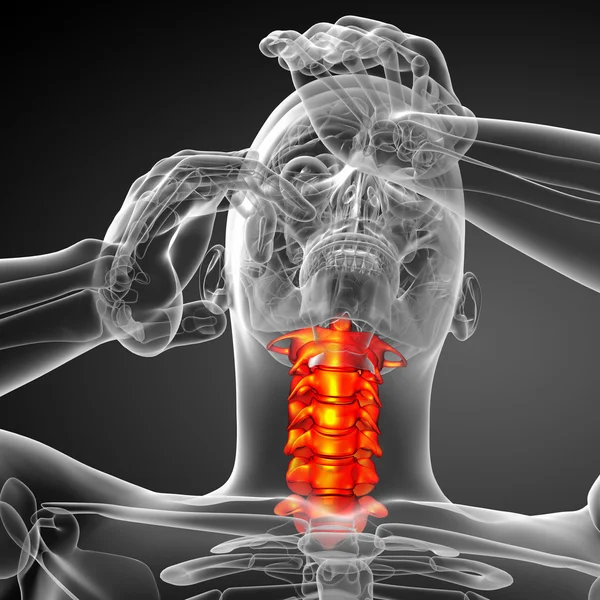 3d rendir ilustración médica de la columna cervical — Foto de Stock