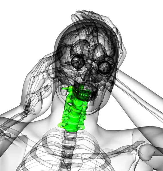 3d renderizar ilustração médica da coluna cervical — Fotografia de Stock