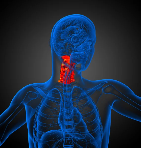 3D Darstellung der Halswirbelsäule — Stockfoto