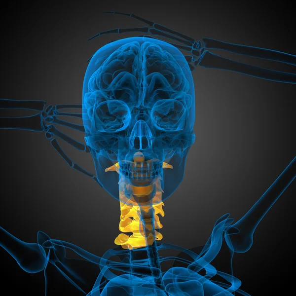 3d renderizar ilustração médica da coluna cervical — Fotografia de Stock