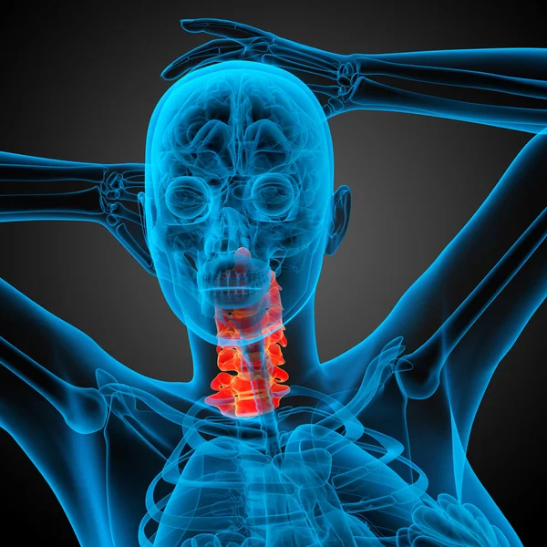 3d renderizar ilustração médica da coluna cervical — Fotografia de Stock