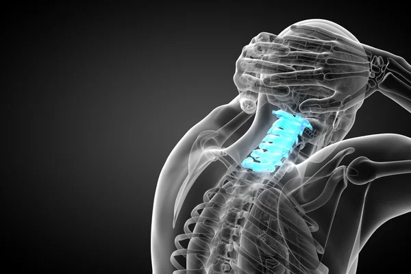 3d renderizar ilustração médica da coluna cervical — Fotografia de Stock