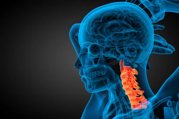 3d renderizar ilustração médica da coluna cervical — Fotografia de Stock