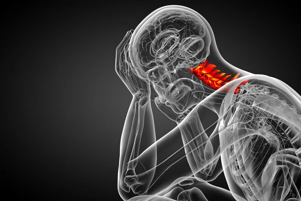 3D göra medicinsk illustration av halsryggen — Stockfoto