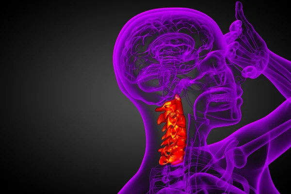 3d renderizar ilustração médica da coluna cervical — Fotografia de Stock