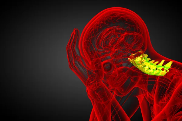 3d rendir ilustración médica de la columna cervical — Foto de Stock