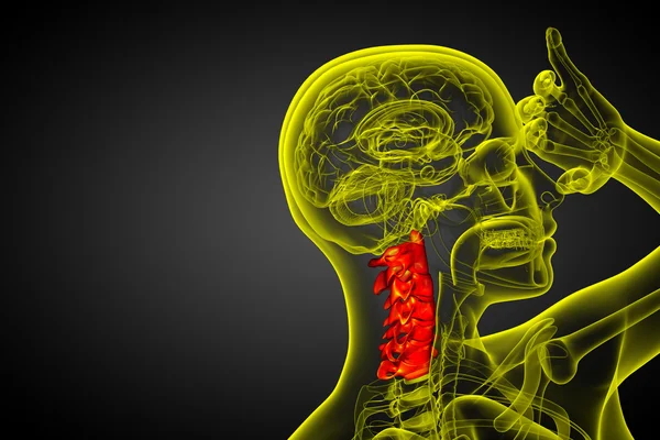 3d 渲染医学插图的颈椎 — 图库照片