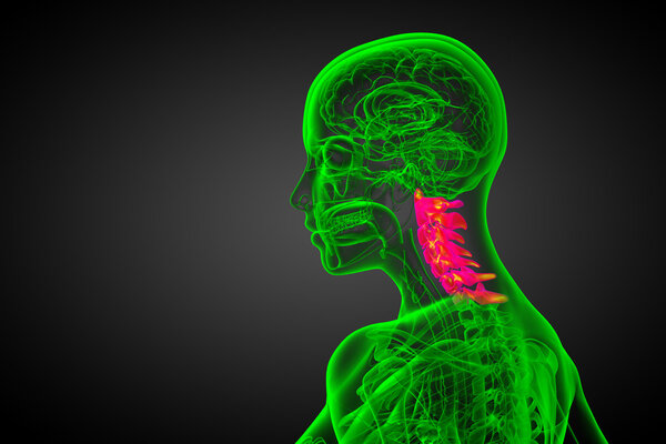 3d render medical illustration of the cervical spine