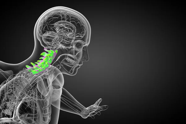 3d renderizar ilustração médica da coluna cervical — Fotografia de Stock