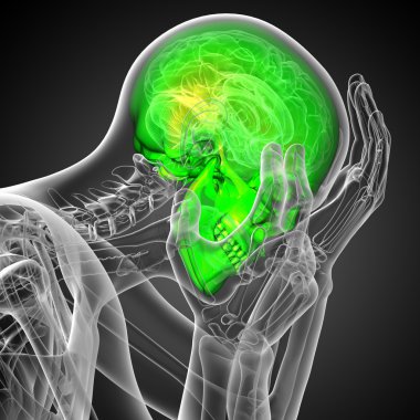 3D render Medikal illüstrasyon kafatası 