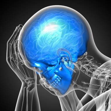 3D render Medikal illüstrasyon kafatası 