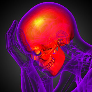 3D render Medikal illüstrasyon kafatası 