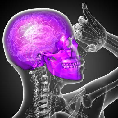 3D render Medikal illüstrasyon kafatası 