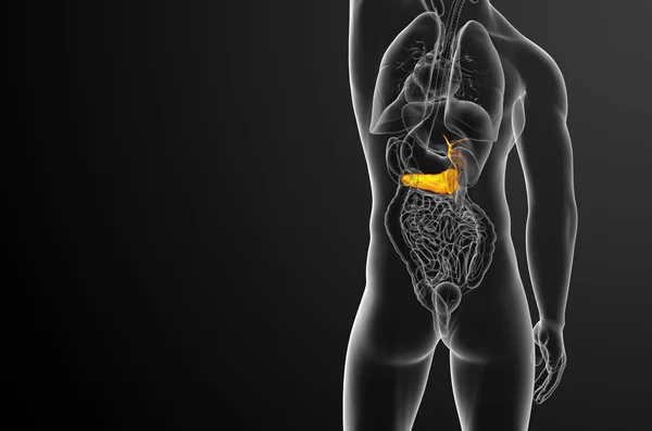 3d renderizar la ilustración médica de la gallblader y pancrease —  Fotos de Stock